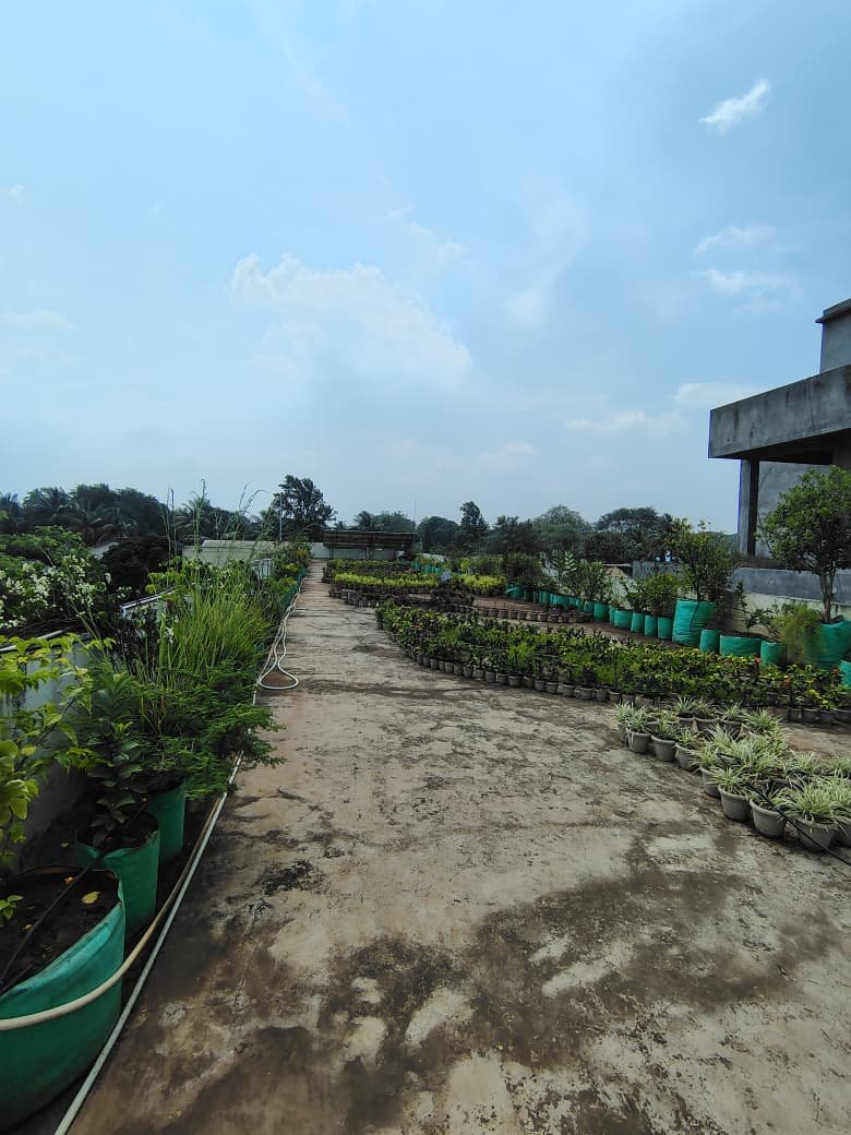 TERRACE GARDEN